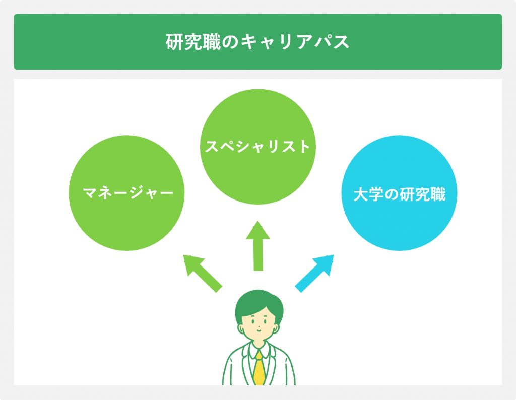 研究職のキャリアパス
