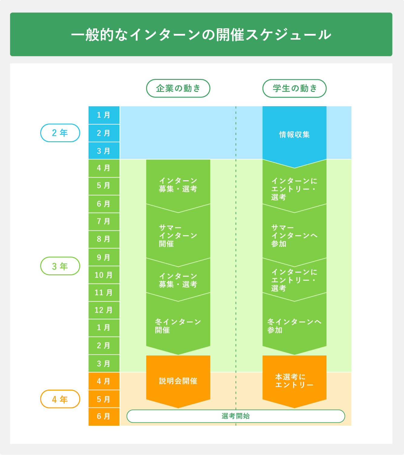 一般的なインターンの開催スケジュール
