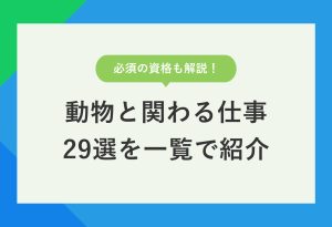 必須の資格も解説！ 動物と関わる仕事29選を一覧で紹介