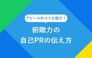 俯瞰力の自己PRの伝え方